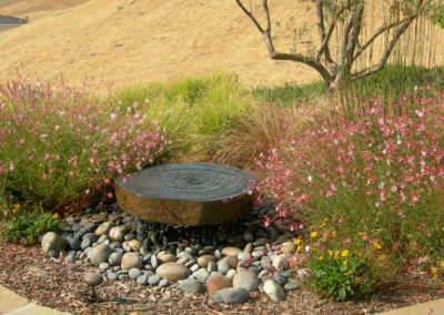 Relaxing Xeriscape