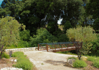 California Central Coast Winery Landscape Madrone