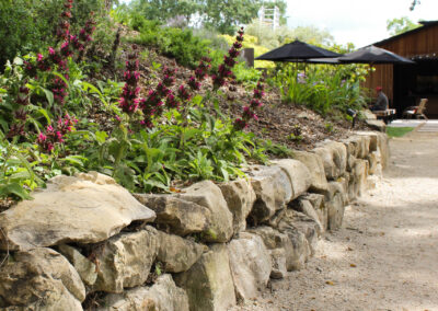 Brecon Estate Landscape Design Madrone Landscape