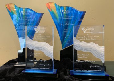 In Focus: CLCA Beautification Awards 2019