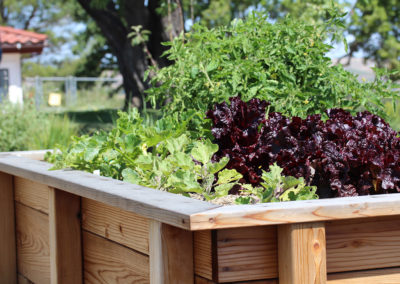 Edible Landscapes on the Central Coast