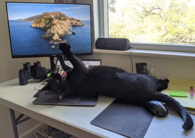 Work From Home: Designers in Their Home Habitat