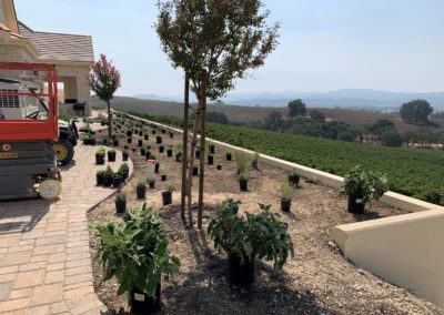 On the Boards: Templeton Vineyard Residence