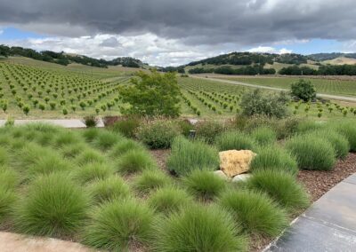 Bunch Grass Cutbacks: How, Why, and When