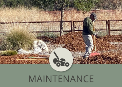 Landscape Maintenance and the 20/80 Ratio