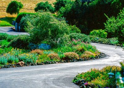 Eight Tips for Sustainable Landscapes on the Central Coast