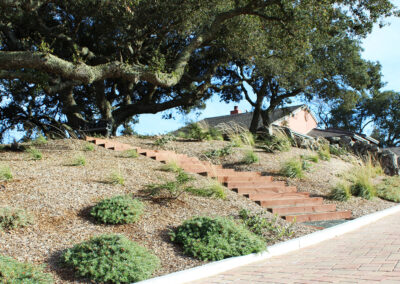 Atascadero Oak Woodland