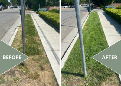 Landscape Moisture Manager: Greener Plants AND Lower Water Bills