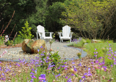 Woodland Cottage Garden