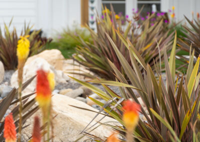 San Luis Obispo custom residential landscape design build Madrone