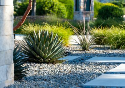 Madrone Landscape Templeton Modern