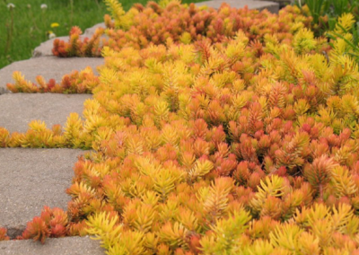 Vibrant Autumn Landscapes in California’s Central Coast