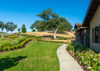 Madrone Landscape Santa Ysabel Oak Garden