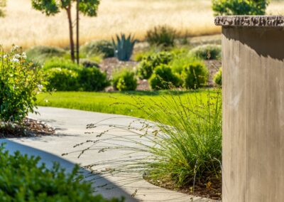 Madrone Landscape Santa Ysabel Oak Garden