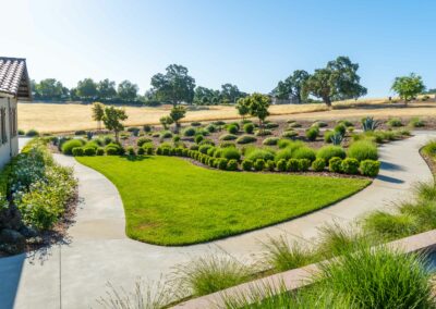 Madrone Landscape Santa Ysabel Oak Garden