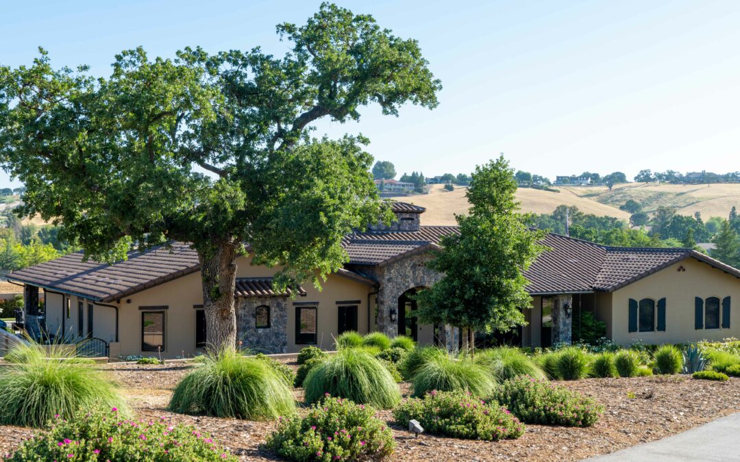 Madrone Landscape Santa Ysabel Oak Garden