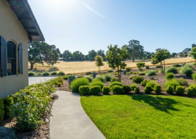 Madrone Landscape Santa Ysabel Oak Garden
