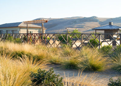 Harmony California Ranch Landscape Madrone