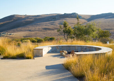 California Landscape Harmony Madrone Landscape