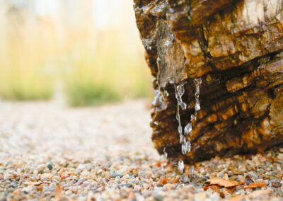 California Residence Landscape Harmony Madrone
