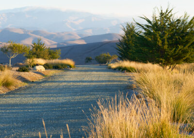 Native Landscape Design Harmony California Ranch