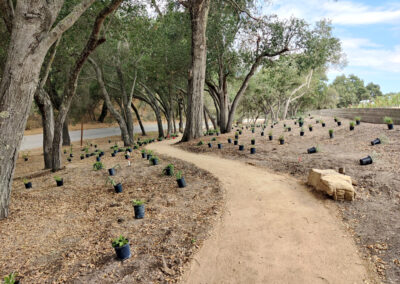 On the Boards: Maison Mason Vineyard