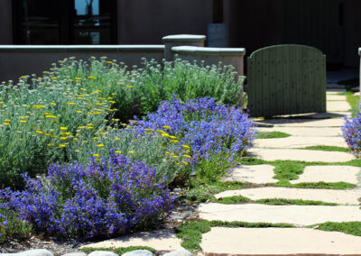 Residential Landscape