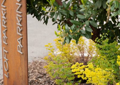 Paso Marketplace Commercial Landscape