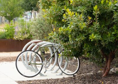 Paso Marketplace Commercial Landscape