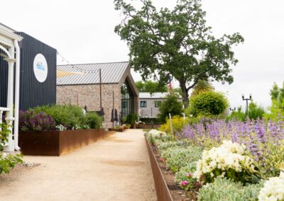 Paso Marketplace Commercial Landscape