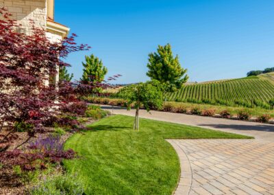 Vineyard Estate Hilltop California Garden