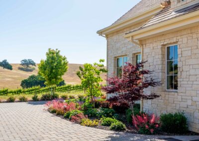 Madrone Hilltop Vineyard Estate Garden Madrone