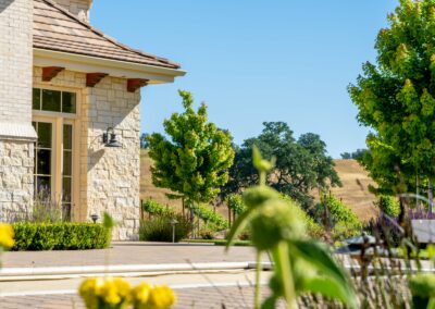 Hilltop Vineyard Estate Madrone Landscape Templeton