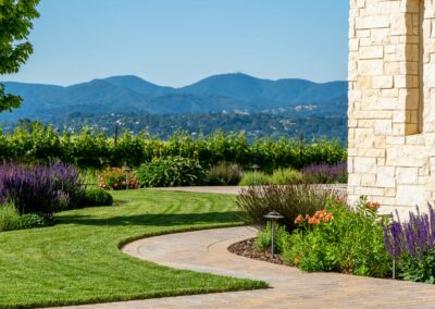 Hilltop Vineyard Estate Garden Madrone Landscape