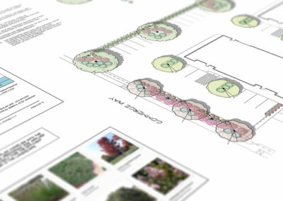 Paso Robles Commercial Landscape Design Madrone