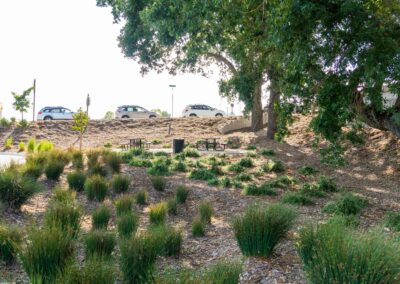 Madrone Landscape Construction The Human Bean Templeton