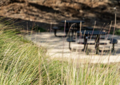 Madrone Landscape Construction The Human Bean Templeton