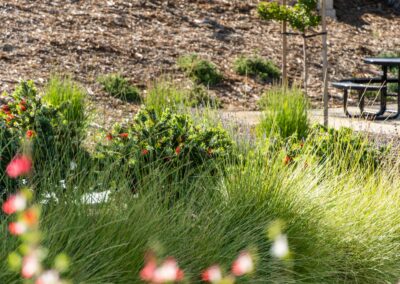 Madrone Landscape Construction The Human Bean Templeton