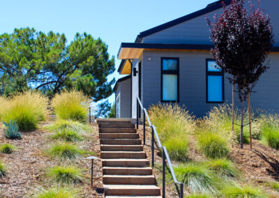 Modern Vineyard Overlook