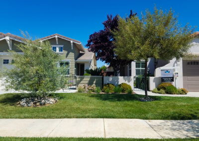 Madrone Traditions Landscape