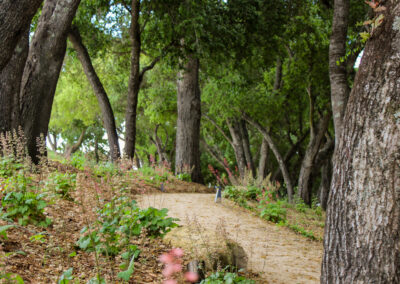 Madrone Landscape Design