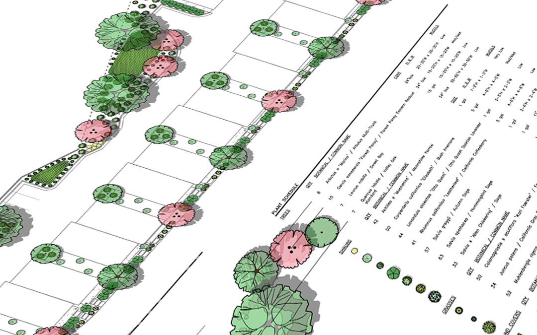 On the Boards: Toad Creek Terrace Multifamily Development