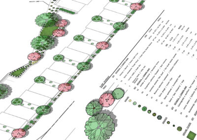 On the Boards: Toad Creek Terrace Multifamily Development