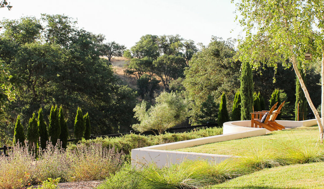 Embracing Spring: A Guide to Mediterranean-Inspired Landscapes