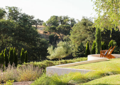 Mediterranean-Plants-Madrone-Landscape