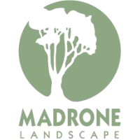 Madrone Landscape